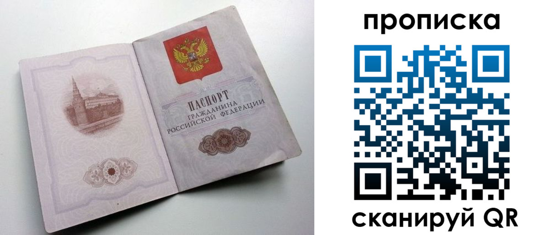 прописка иностранных граждан в Камчатском крае